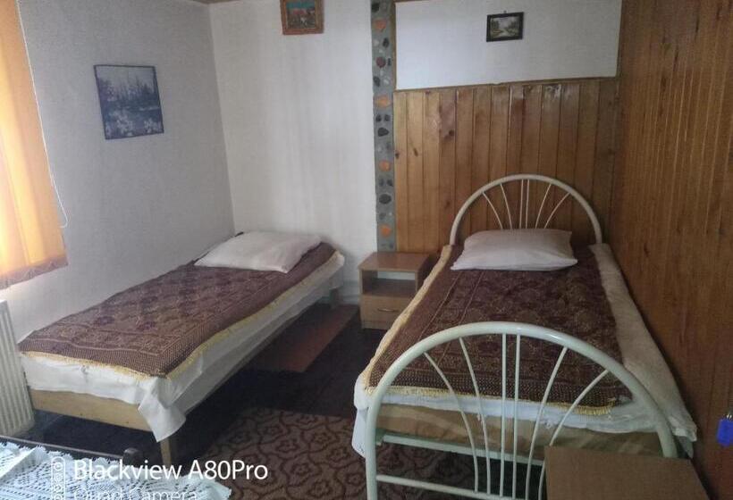 Номер Стандарт Совместная Ванная, Pensiunea Irina 3