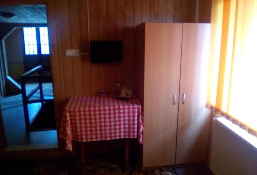 Номер Стандарт Совместная Ванная, Pensiunea Irina 3