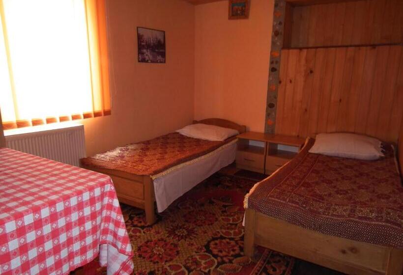 스탠다드 룸 공동 욕실, Pensiunea Irina 3