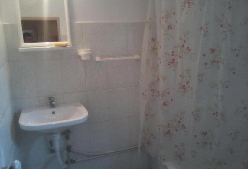 Номер Стандарт Совместная Ванная, Pensiunea Irina 3