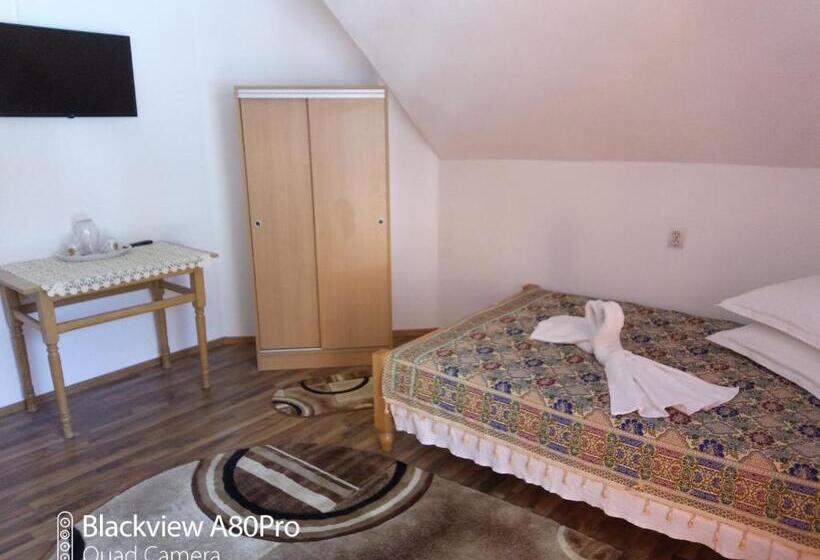 디럭스 룸, Pensiunea Irina 3