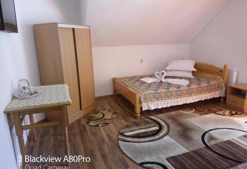 Номер Deluxe, Pensiunea Irina 3