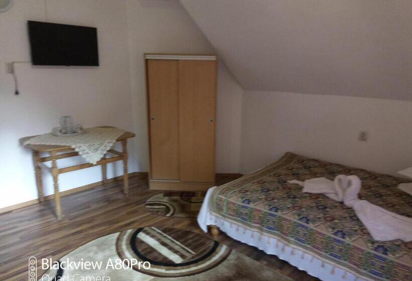 Номер Deluxe, Pensiunea Irina 3