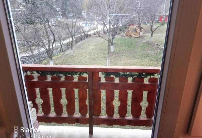 Номер Deluxe, Pensiunea Irina 3