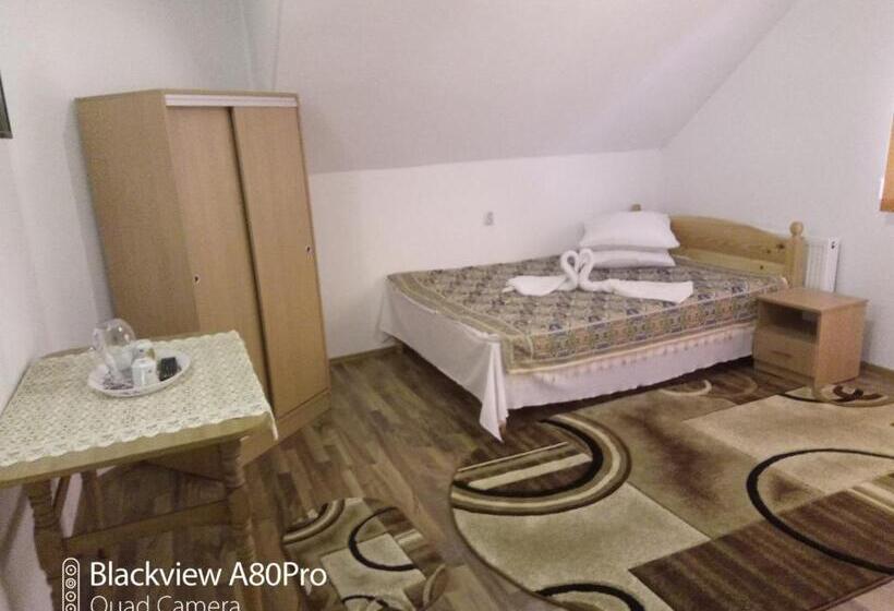 Номер Deluxe, Pensiunea Irina 3