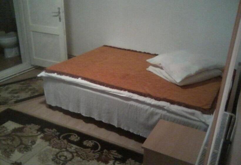 Номер Стандарт, Pensiunea Irina 3