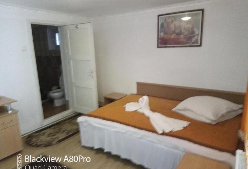 스탠다드 룸, Pensiunea Irina 3