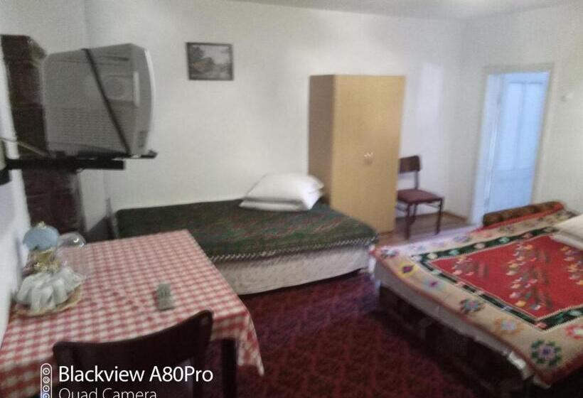 Четырехместный Номер Стандарт, Pensiunea Irina 3