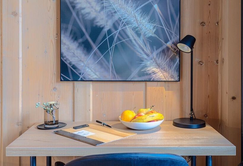 스탠다드 룸, Alpine Inn Davos