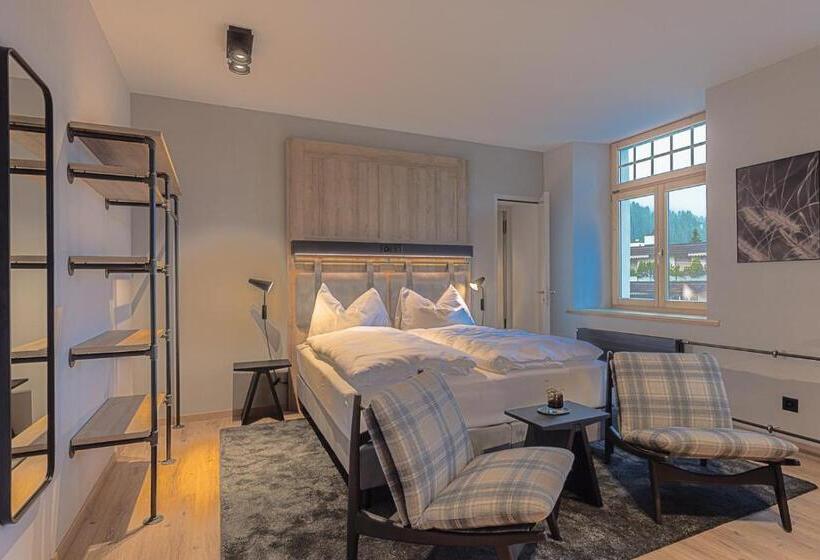 스탠다드 룸, Alpine Inn Davos