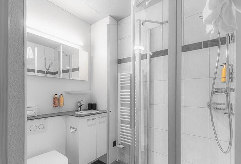 수피리어 룸, Alpine Inn Davos