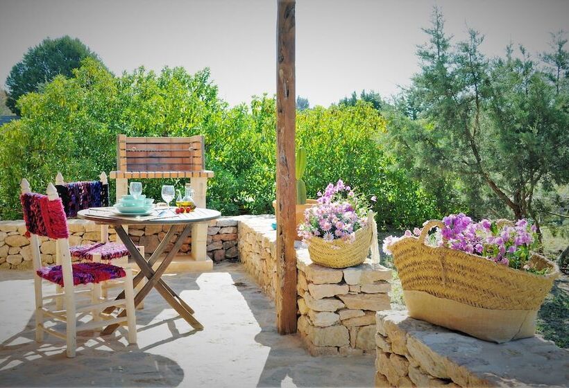 خانه 1 خوابه, Siamo Bella