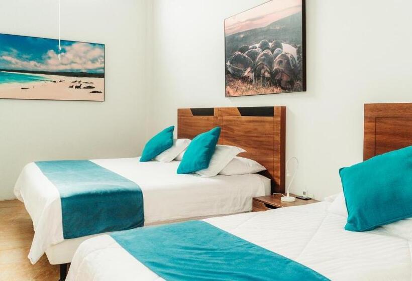 اتاق استاندارد, Albemarle