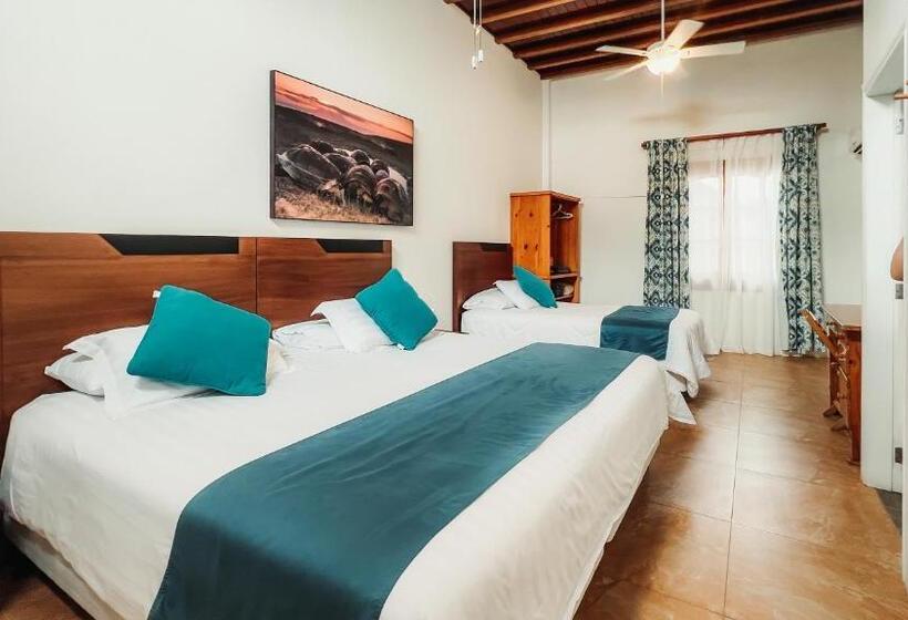 اتاق استاندارد سه نفره, Albemarle