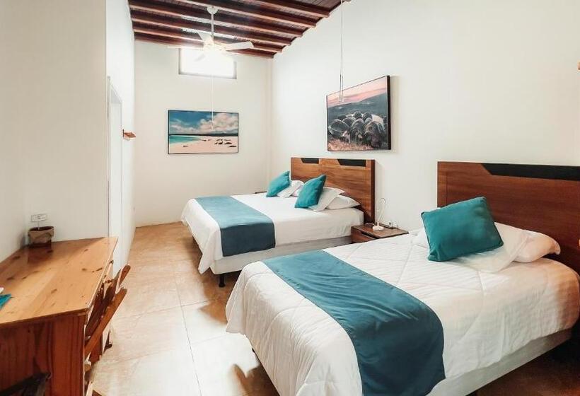 اتاق استاندارد سه نفره, Albemarle