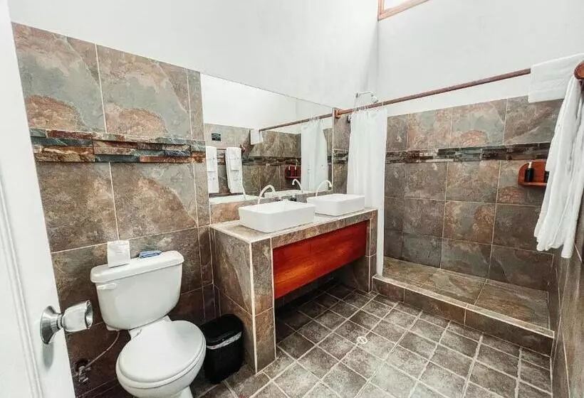 اتاق اساندارد با چشمانداز جانبی به دریا, Albemarle
