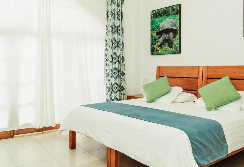 اتاق اساندارد با چشمانداز جانبی به دریا, Albemarle