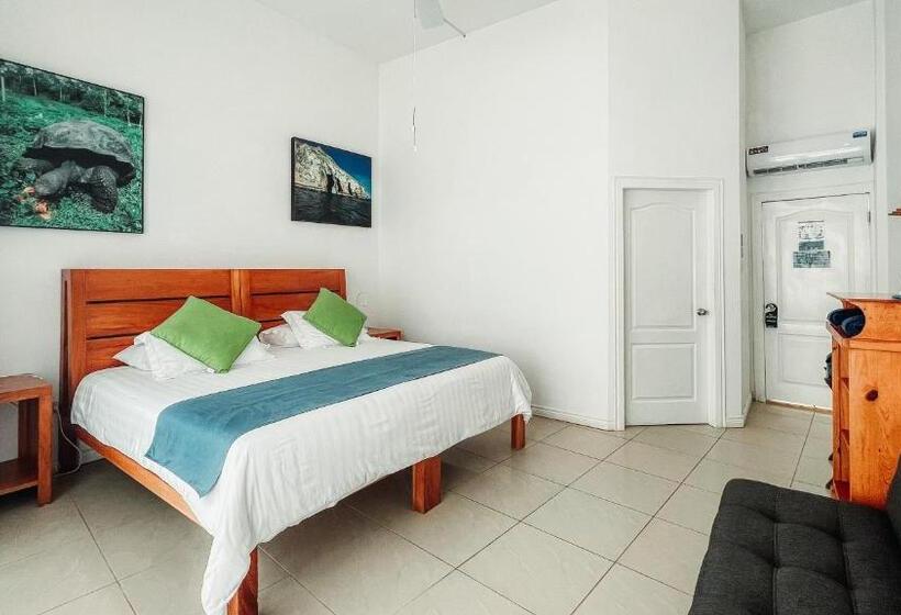 اتاق اساندارد با چشمانداز جانبی به دریا, Albemarle