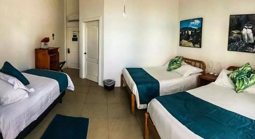 Triple Room Sea View, Albemarle