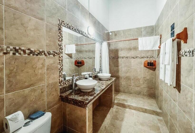 اتاق استاندارد با چشمانداز دریا, Albemarle