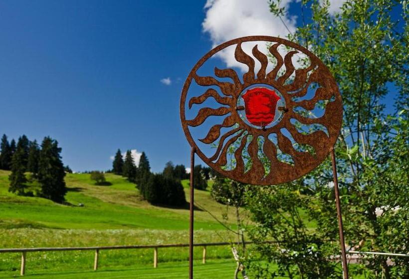 수피리어 스위트, Kaufmann