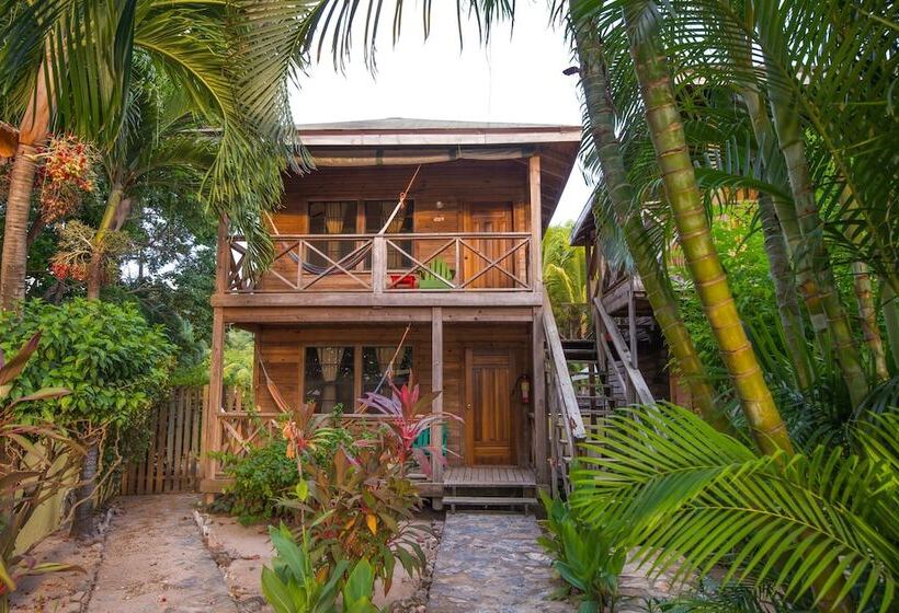 بانگلوی استاندارد, Las Rocas Resort And Dive Center