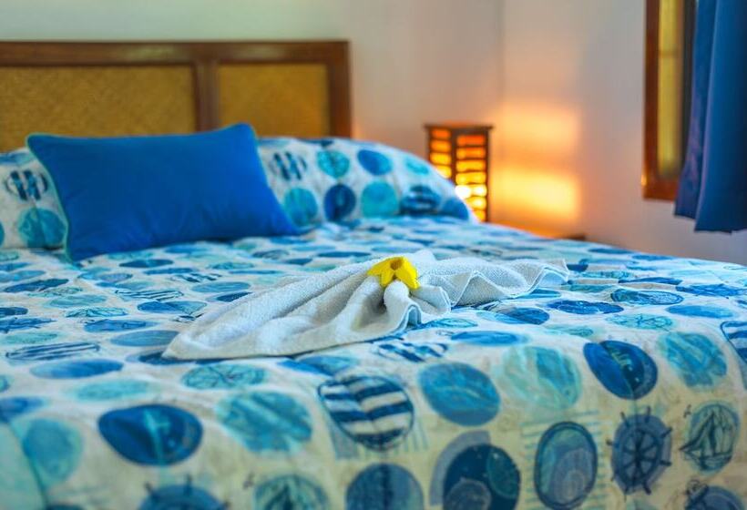 بانگلوی استاندارد, Las Rocas Resort And Dive Center