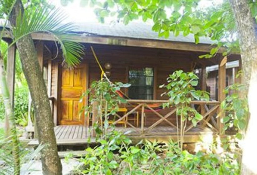 بانگلوی استاندارد, Las Rocas Resort And Dive Center