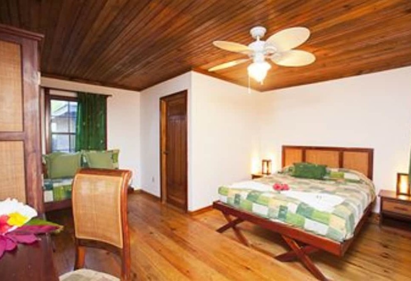 بانگلوی استاندارد, Las Rocas Resort And Dive Center