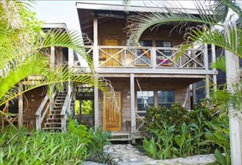 بانگلوی استاندارد, Las Rocas Resort And Dive Center