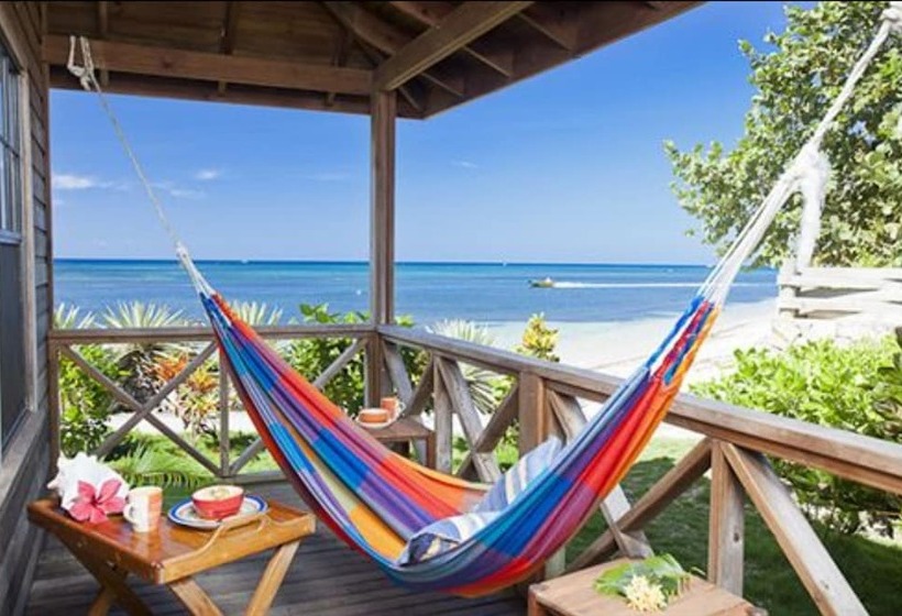 بانگلوی سوپریور, Las Rocas Resort And Dive Center