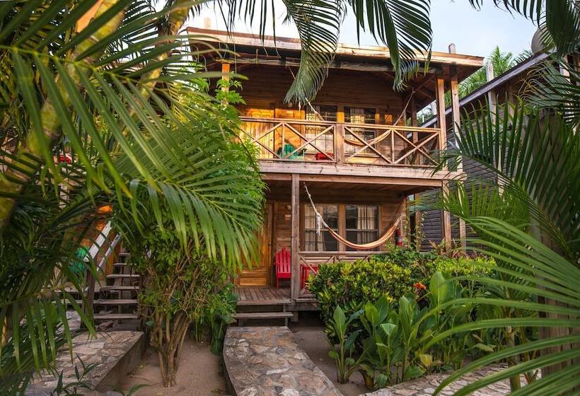 بنگله خانوادگی, Las Rocas Resort And Dive Center