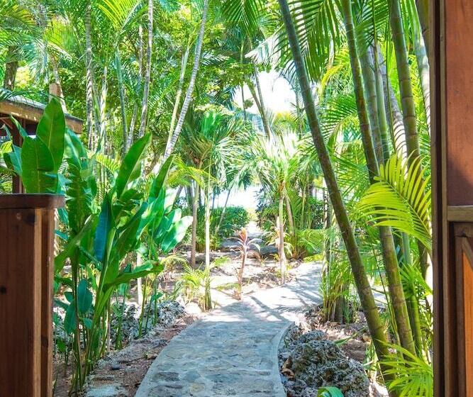 بنگله خانوادگی, Las Rocas Resort And Dive Center