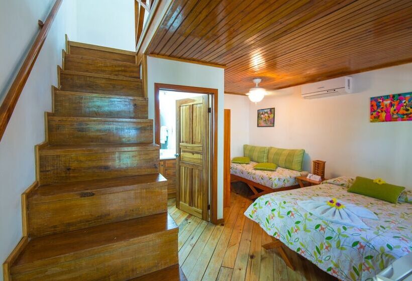 بنگله خانوادگی, Las Rocas Resort And Dive Center