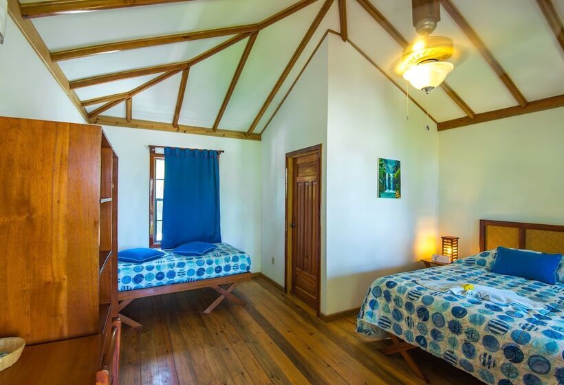 بانگلوی استاندارد, Las Rocas Resort And Dive Center