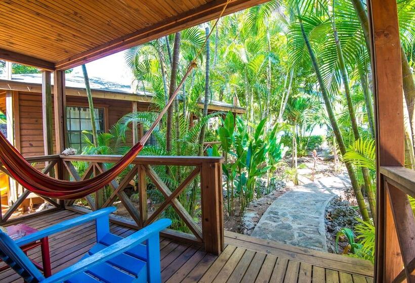 بانگلوی استاندارد, Las Rocas Resort And Dive Center