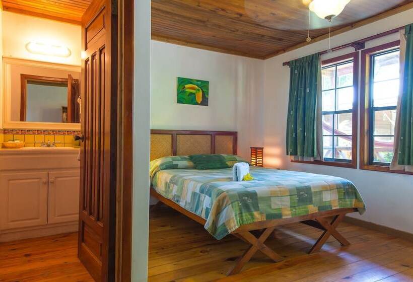 بانگلوی استاندارد, Las Rocas Resort And Dive Center