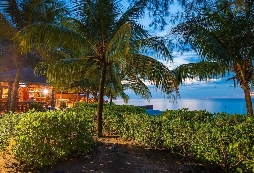 بانگلوی استاندارد, Las Rocas Resort And Dive Center