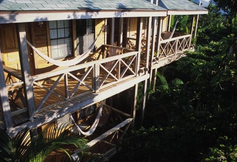 بانگلوی استاندارد, Las Rocas Resort And Dive Center