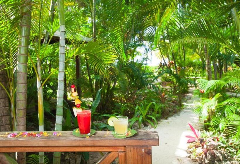 بانگلوی استاندارد, Las Rocas Resort And Dive Center