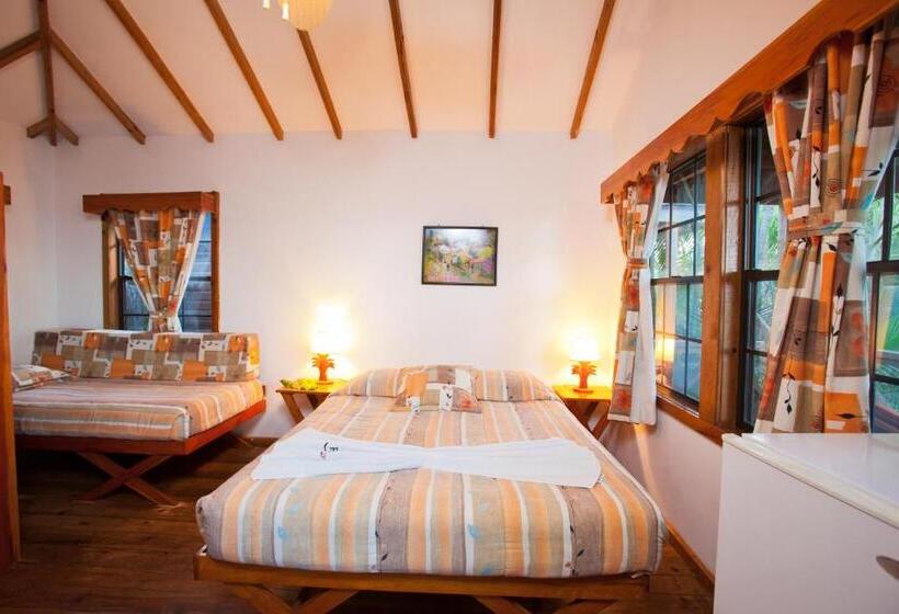 بانگلوی استاندارد, Las Rocas Resort And Dive Center