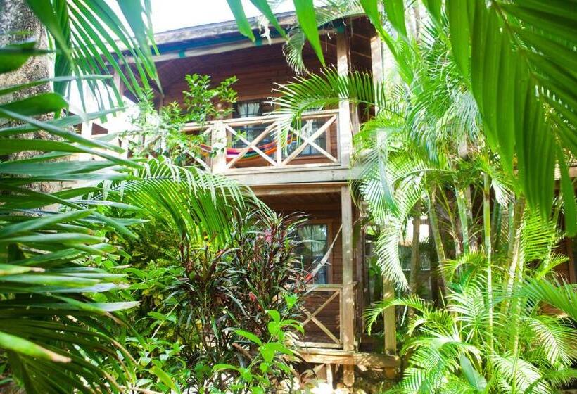 بانگلوی استاندارد, Las Rocas Resort And Dive Center