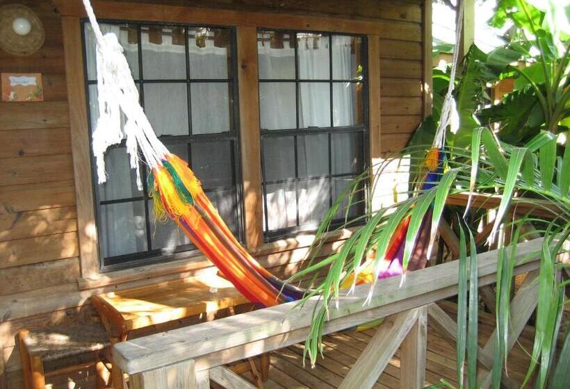 بانگلوی استاندارد, Las Rocas Resort And Dive Center