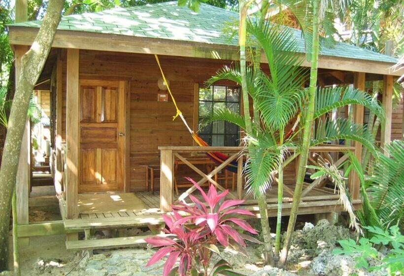 بانگلوی استاندارد, Las Rocas Resort And Dive Center