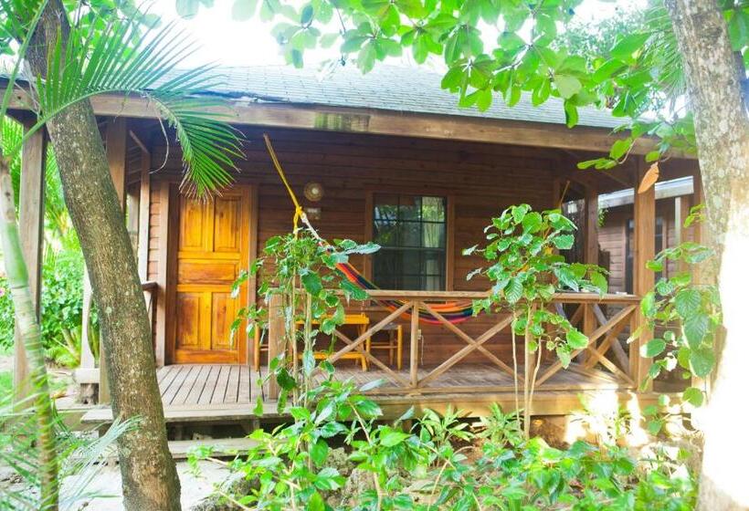 بانگلوی استاندارد, Las Rocas Resort And Dive Center