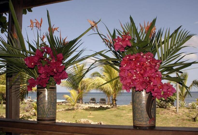 بانگلوی سوپریور, Las Rocas Resort And Dive Center