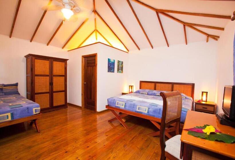 بانگلوی سوپریور, Las Rocas Resort And Dive Center