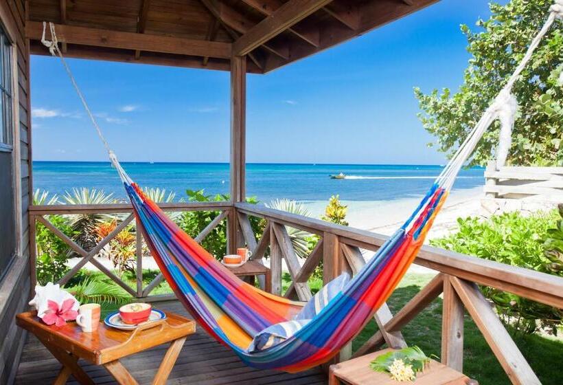 بانگلوی سوپریور, Las Rocas Resort And Dive Center