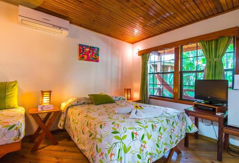 بنگله خانوادگی, Las Rocas Resort And Dive Center