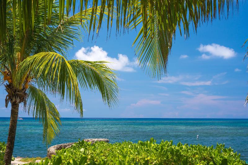 بانگلوی استاندارد, Las Rocas Resort And Dive Center